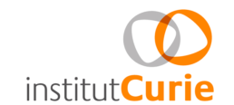Group'3C - Logo Institut Curie